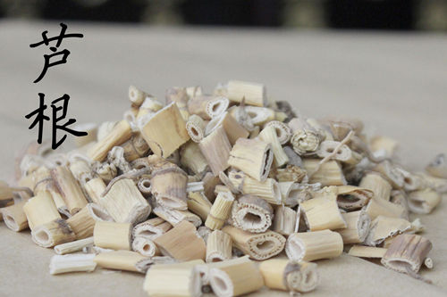 芦根